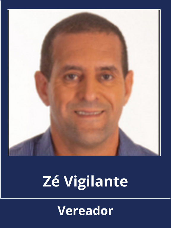 ZeVigilante.png